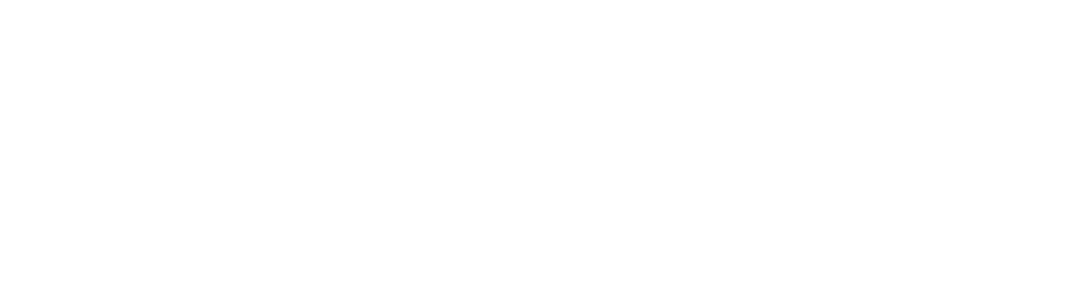 Logo Marco Squarcini